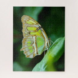 Green Butterfly Jigzaag Puzzle Legpuzzel