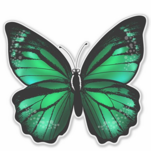 Green Butterfly Vinyl Sticker (Voorkant)