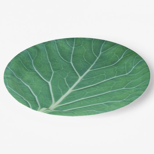 Green Cabbage Leaf 0933 Papieren Bordje (Gekanteld)