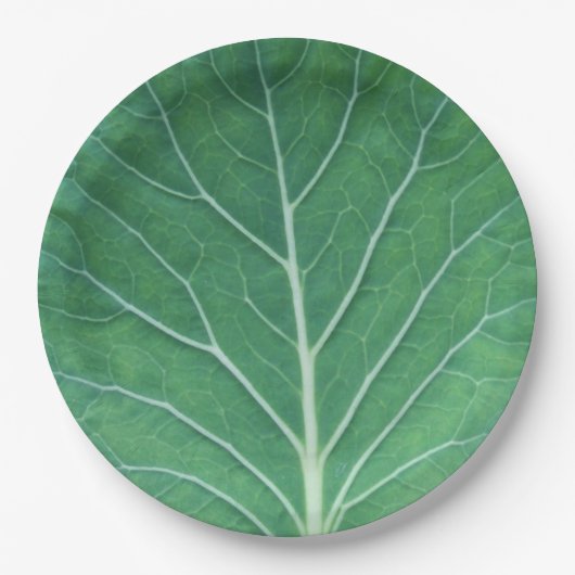 Green Cabbage Leaf 0933 Papieren Bordje (Voorkant)
