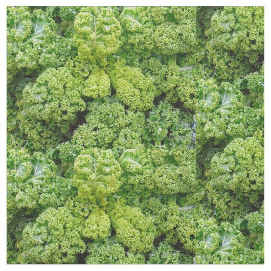 Green cabbage stof (Close Up)
