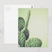 Green Cactus Briefkaart (Voorkant / Achterkant)