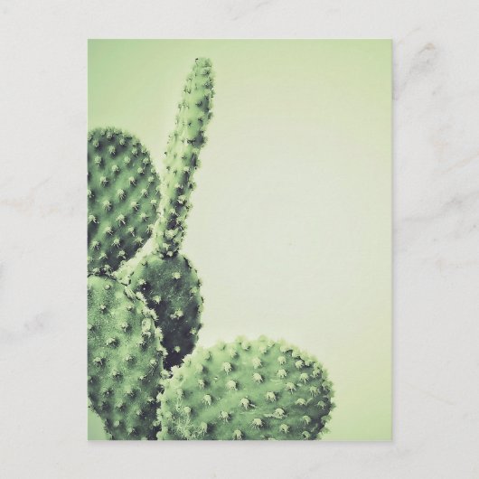 Green Cactus Briefkaart (Voorkant)