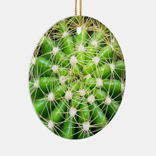 Green Cactus Dble-sided Ornament (Rechts)