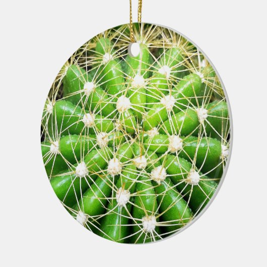 Green Cactus Dble-sided Ornament (Links)