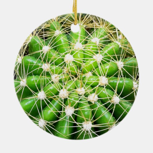 Green Cactus Dble-sided Ornament (Achterkant)