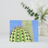 Green Cactus Thorns Briefkaart (Staand voorkant)