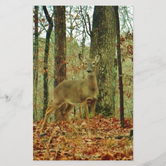 Green Camo, Camouflage Deer Briefpapier (Voorkant)
