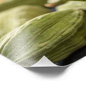 Green Cardamom Pods Macro Zoom Aromatic Spice Text Foto Afdruk (Hoek)