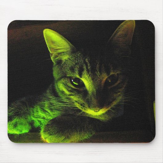 Green Cat Mousepad Muismat (Voorkant)