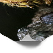 Green Caterstone Poster (Hoek)