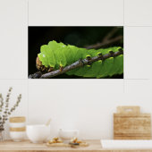 Green Caterstone Poster (Keuken)