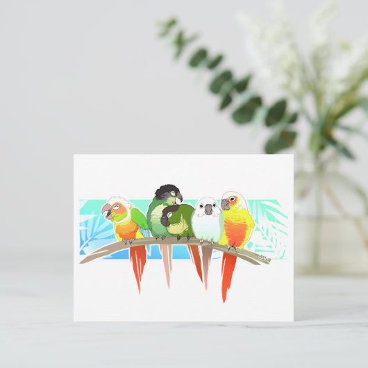 Green Cheek Conures Briefkaart (Staand voorkant)