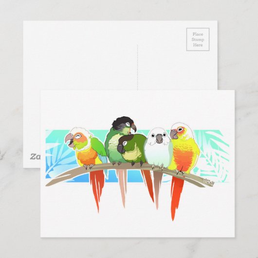 Green Cheek Conures Briefkaart (Voorkant / Achterkant)