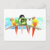 Green Cheek Conures Briefkaart (Voorkant)