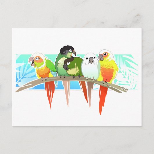 Green Cheek Conures Briefkaart (Voorkant)