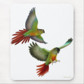 Green Cheek Conures Mousepad Muismat (Voorkant)
