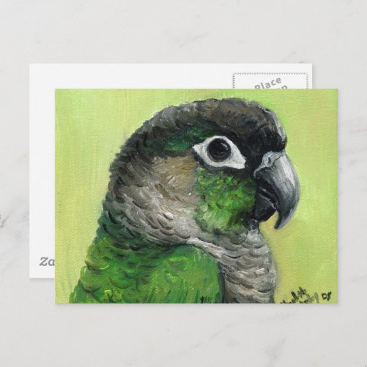 "Green Cheeked Conure" Bird Art Briefkaart (Voorkant / Achterkant)