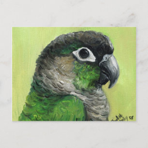 "Green Cheeked Conure" Bird Art Briefkaart