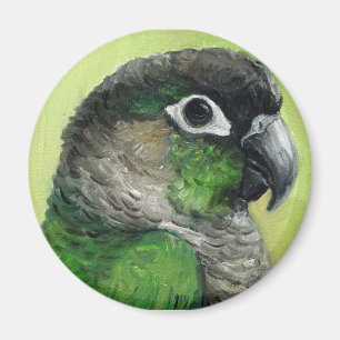 "Green Cheeked Conure" Vogelkunstmagneet Magneet