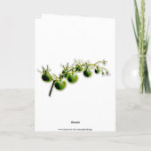 GREEN CHERRY TOMATO FOTO BIRTHDAY KAART (Achterkant)