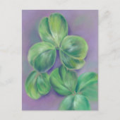 Green Clover Shamrocks op Paarse pasteelkunst Briefkaart (Voorkant)