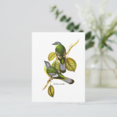 Green Cochoa Briefkaart (Staand voorkant)