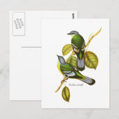 Green Cochoa Briefkaart (Voorkant / Achterkant)