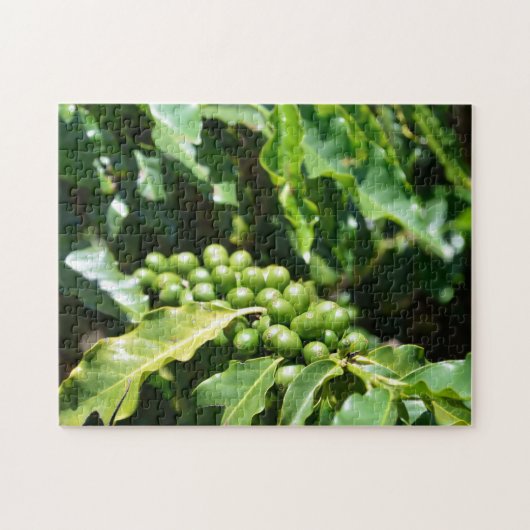 Green Coffee Berries Puzzle Legpuzzel (Horizontaal)