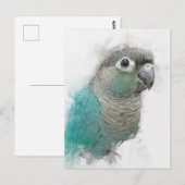 Green Conure Briefkaart nr. 3 (Voorkant / Achterkant)