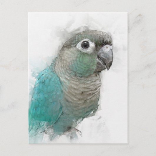 Green Conure Briefkaart nr. 3 (Voorkant)