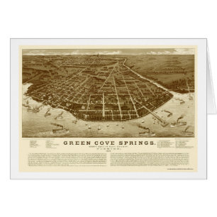 Green Cove Springs, FL Panoramic Map - 1885