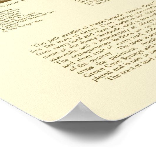 Green Cove Springs, FL Panoramic Map - 1885 Poster (Hoek)