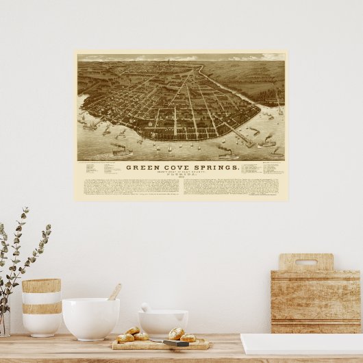 Green Cove Springs, FL Panoramic Map - 1885 Poster (Keuken)