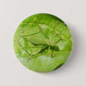 Green Cricket Camouflage Button (Voorkant)