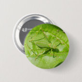 Green Cricket Camouflage Button (Voorkant /achterkant)