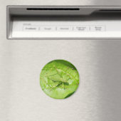 Green Cricket Camouflage Magnet (Insitu (Vaatwasser))