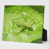Green Cricket Camouflage Plaque Fotoplaat (Zijkant)