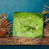 Green Cricket Camouflage Plaque Fotoplaat (Zijkant)