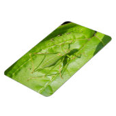 Green Cricket Camouflage Premium Magnet Magneet (Linkerzijde)