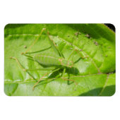 Green Cricket Camouflage Premium Magnet Magneet (Horizontaal)