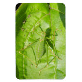 Green Cricket Camouflage Premium Magnet Magneet (Verticaal)