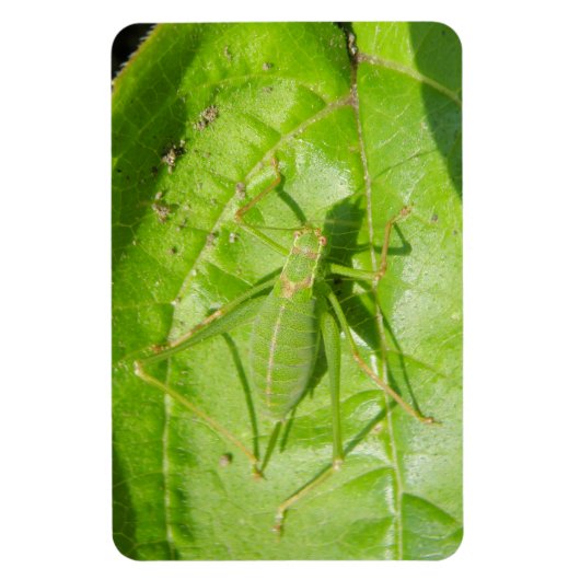Green Cricket Camouflage Premium Magnet Magneet (Verticaal)