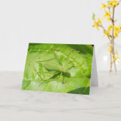 Green Cricket Camouflage Wenskaart Kaart (Gele Bloem)