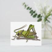 Green Cricket Insect Briefkaart (Staand voorkant)