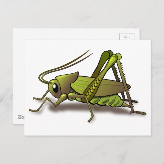 Green Cricket Insect Briefkaart (Voorkant / Achterkant)