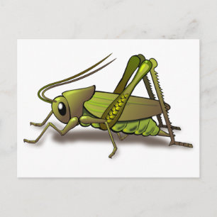 Green Cricket Insect Briefkaart