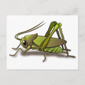 Green Cricket Insect Briefkaart (Voorkant)