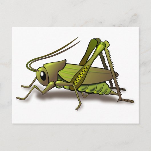 Green Cricket Insect Briefkaart (Voorkant)