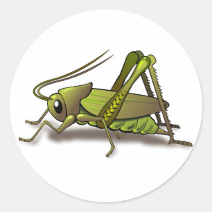 Green Cricket Insect Ronde Sticker